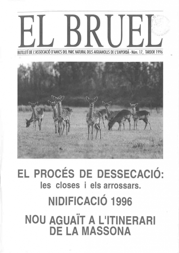 Bruel 17. Tardor 1996