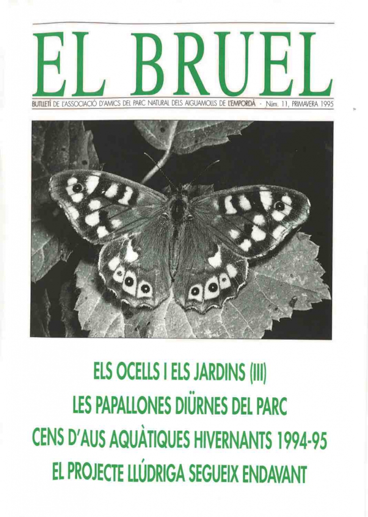 Bruel 11. Primavera 1995